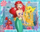 12.004.396_1.webp