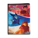 Disney - Lorcana: Portfolio